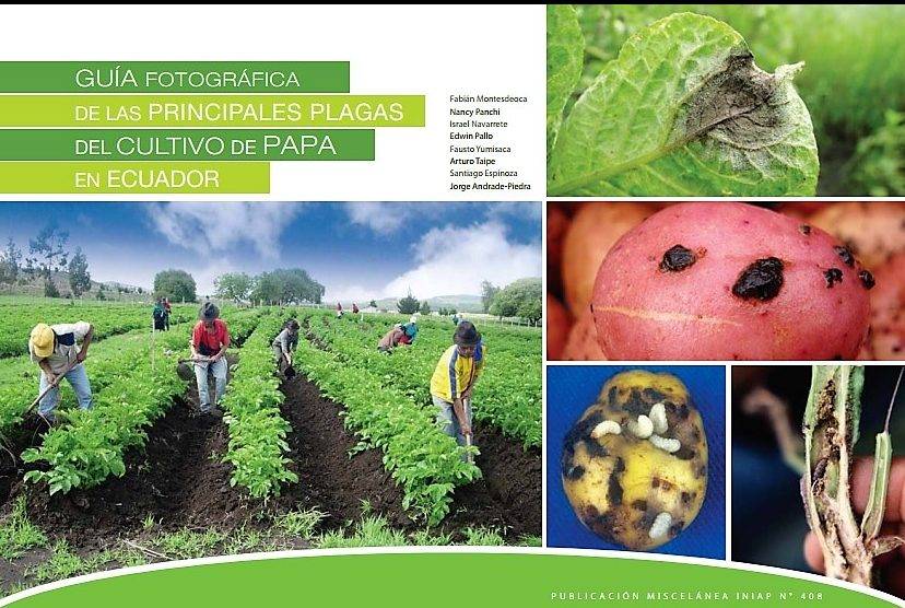 Guia enferm papa|Guia enferme papa 2